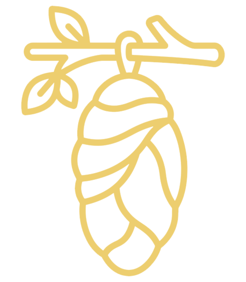 Pra-Inkubasi